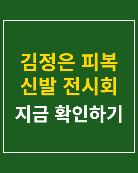 김정은 피복 신발 전시회
