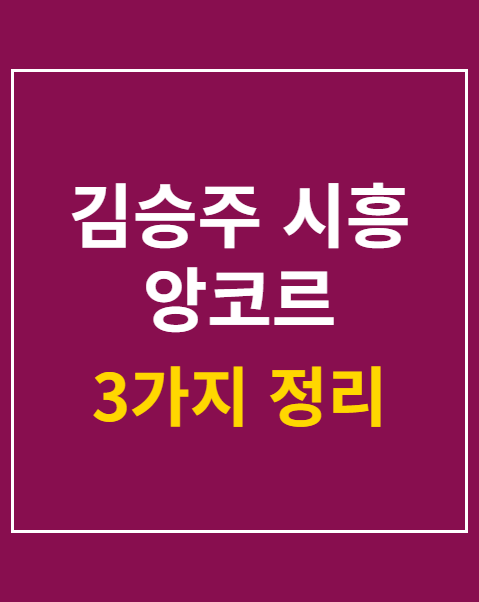 김승주 시흥 앙코르