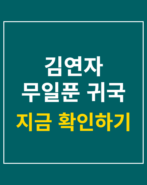 김연자 무일푼 귀국
