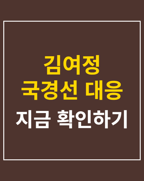 김여정 국경선 대응 수단