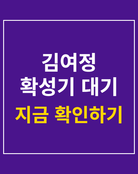 김여정 확성기 대기