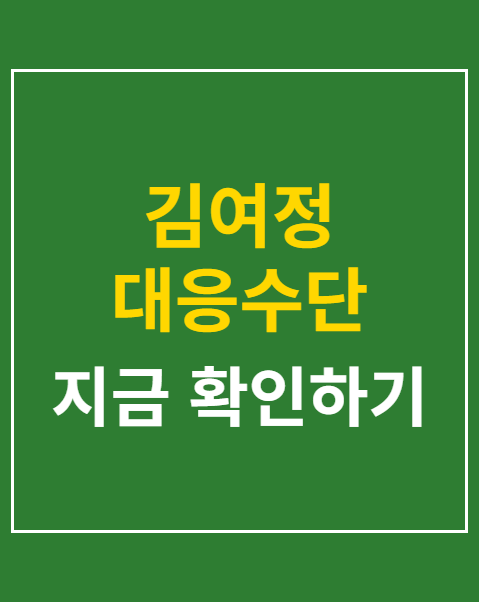 김여정 대응수단