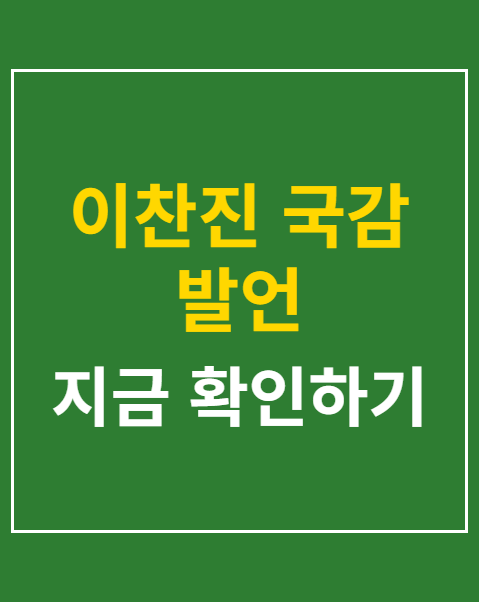 이찬진 국감 발언