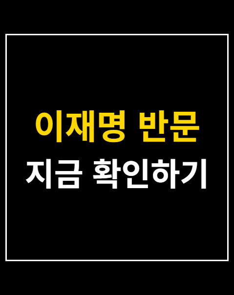 이재명 반문