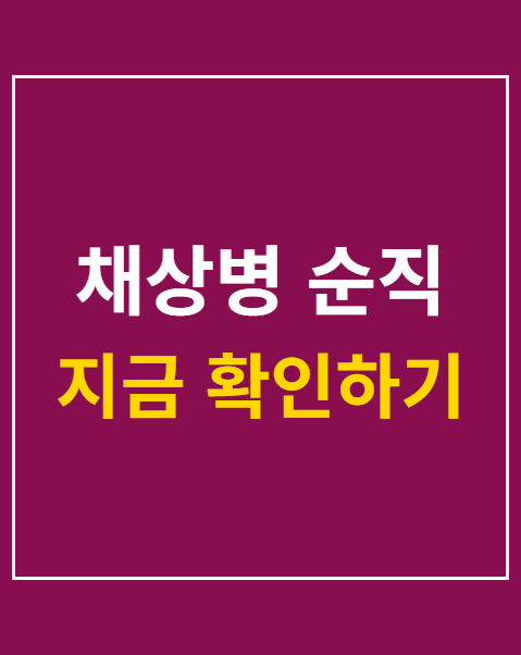 채상병 순직