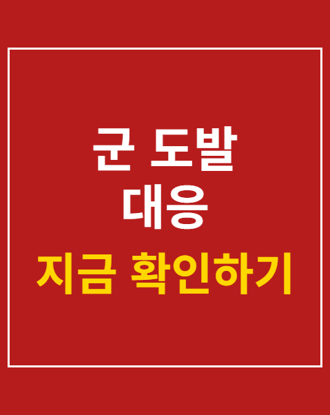 군 도발 대응