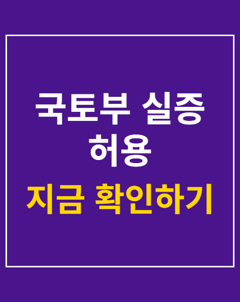 국토부 실증 허용