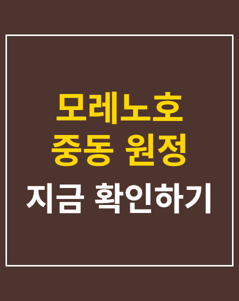 모레노호 중동 원정