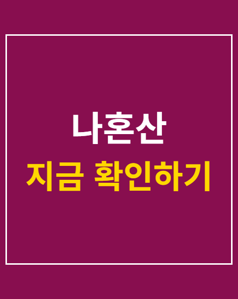나혼산