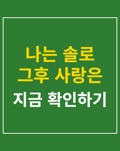 나는 솔로 그후 사랑은 계속된다
