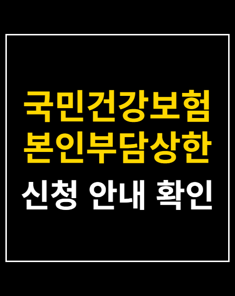국민건강보험 본인부담상한제 환급금 조회 신청