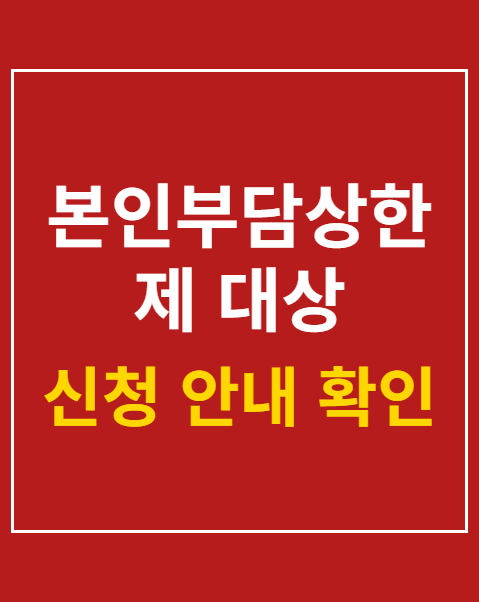 본인부담상한제 대상 의료비