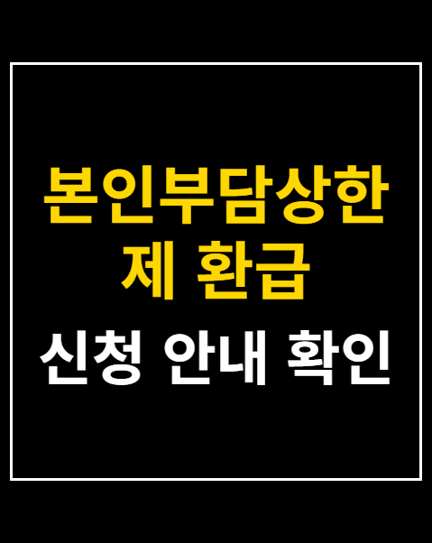 본인부담상한제 환급 계좌