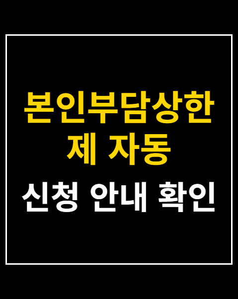 본인부담상한제 자동 지급
