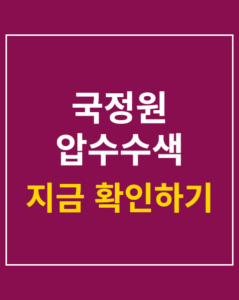 nis seizure investigation 01 thumbnail