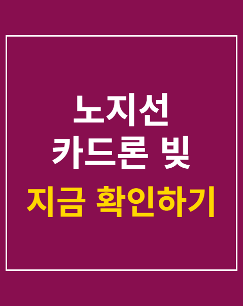 노지선 카드론 빚