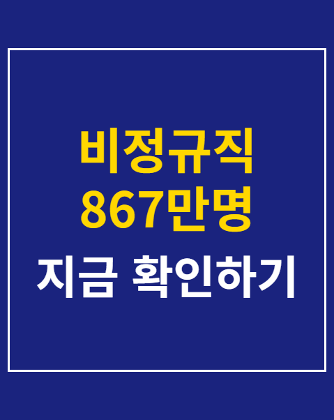 비정규직 867만명