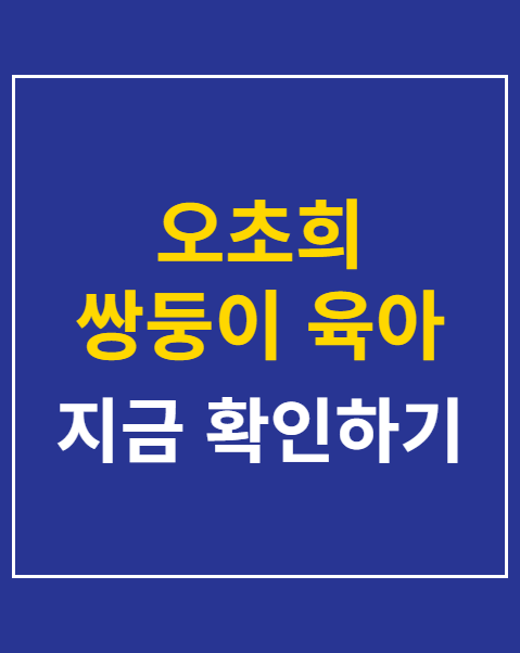 오초희 쌍둥이 육아