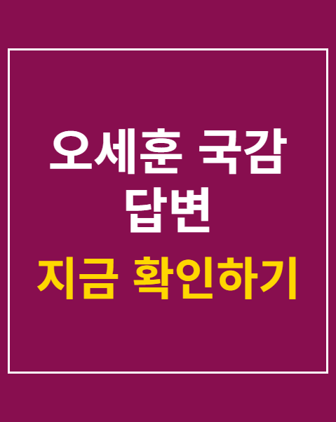 오세훈 국감 답변