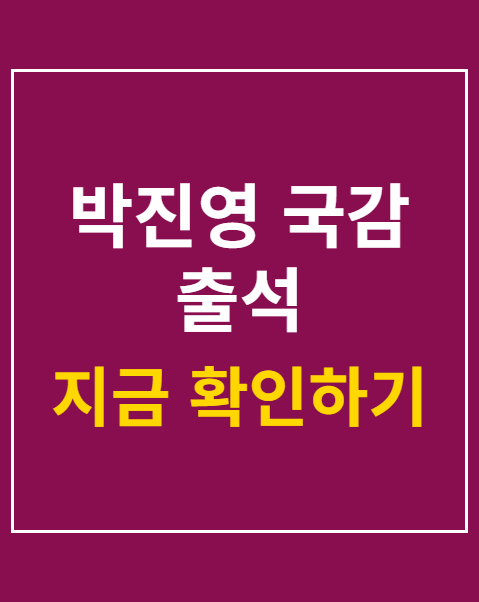 박진영 국감 출석
