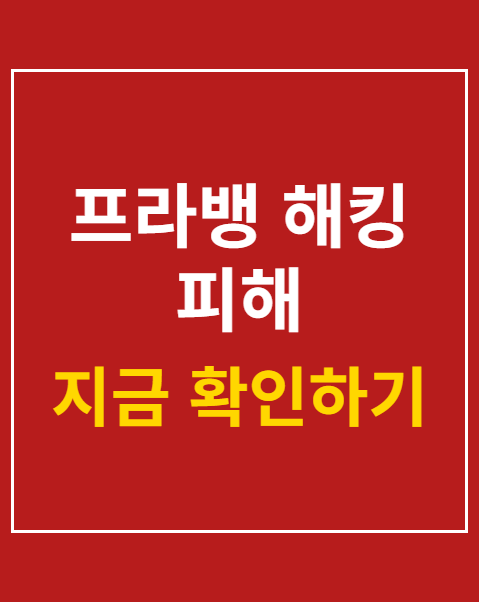 프라뱅 해킹 피해