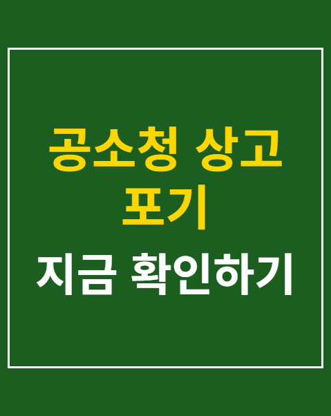 공소청 상고 포기