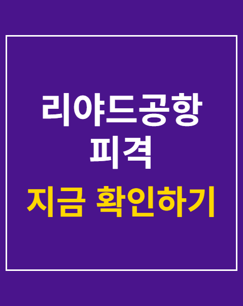 리야드공항 피격