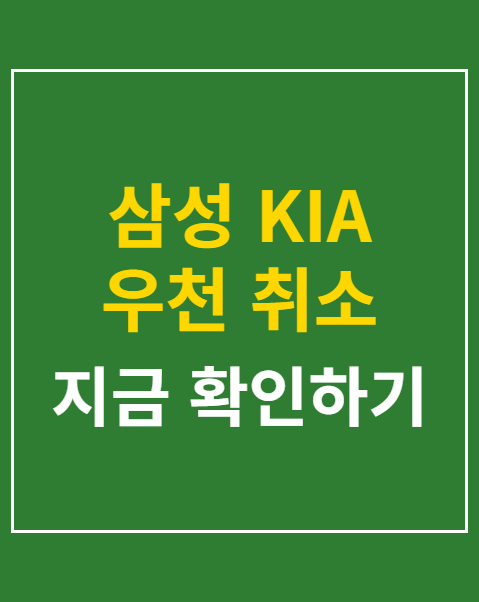 삼성 KIA 우천 취소