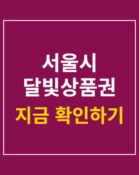 서울시 달빛상품권