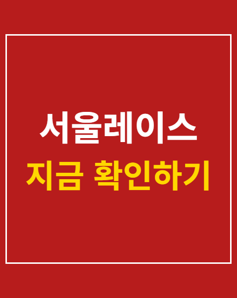 서울레이스