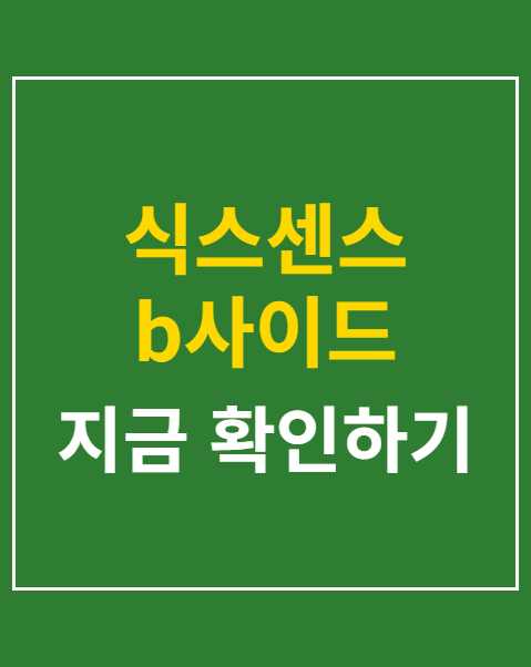 식스센스 b사이드