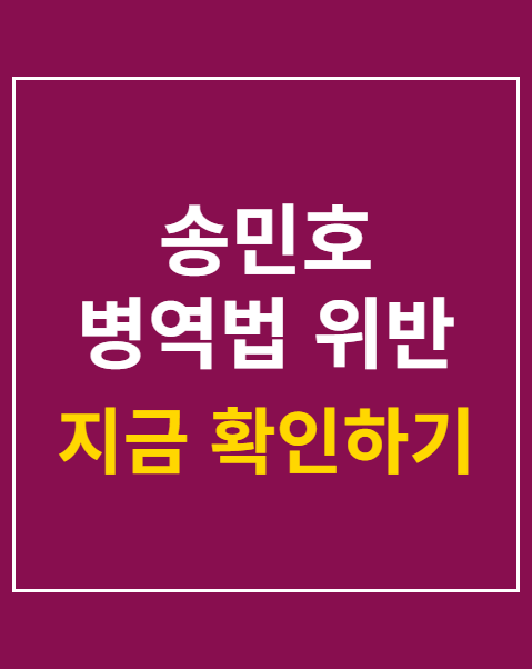 송민호 병역법 위반