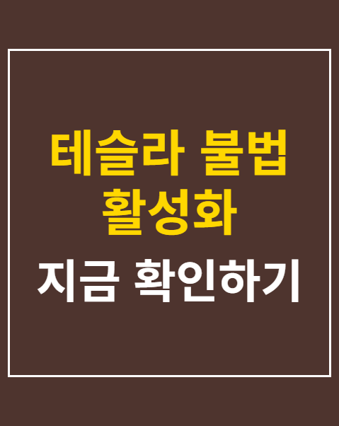 테슬라 불법 활성화