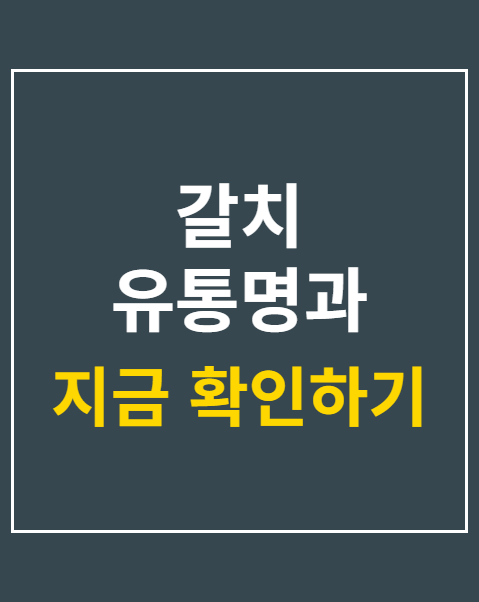 갈치 유통명과 산지 표시