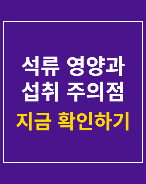 석류 영양과 섭취 주의점