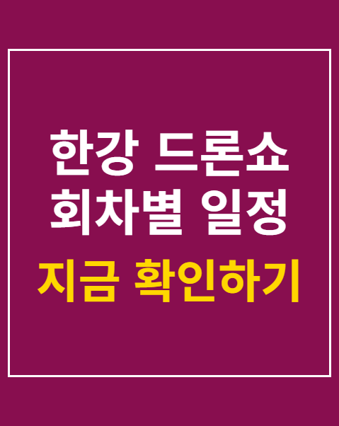 한강 드론쇼 회차별 일정