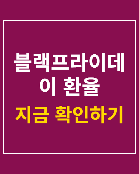 블랙프라이데이 환율 확인