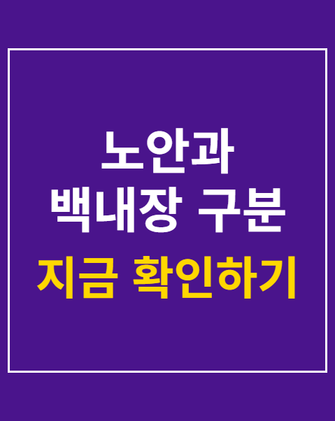 노안과 백내장 구분