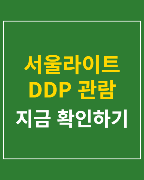 서울라이트 DDP 관람 정보