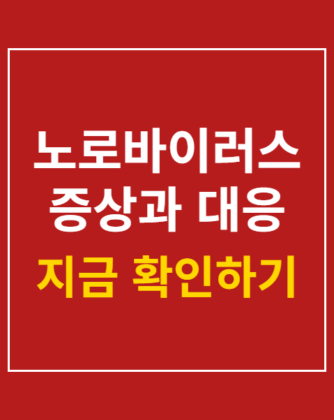 노로바이러스 증상과 대응