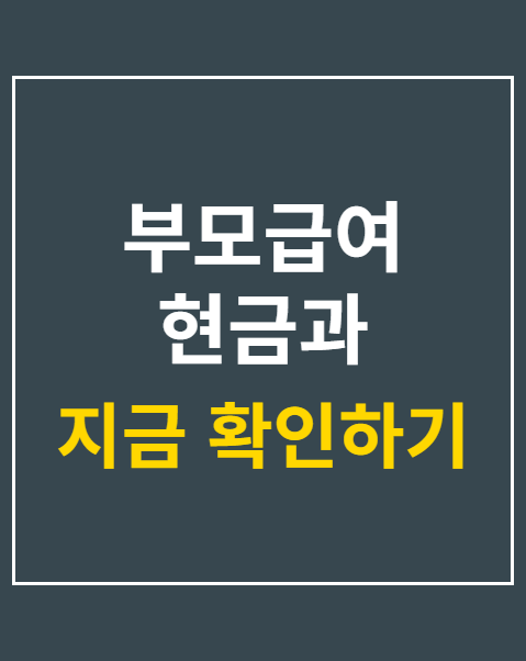 부모급여 현금과 보육료