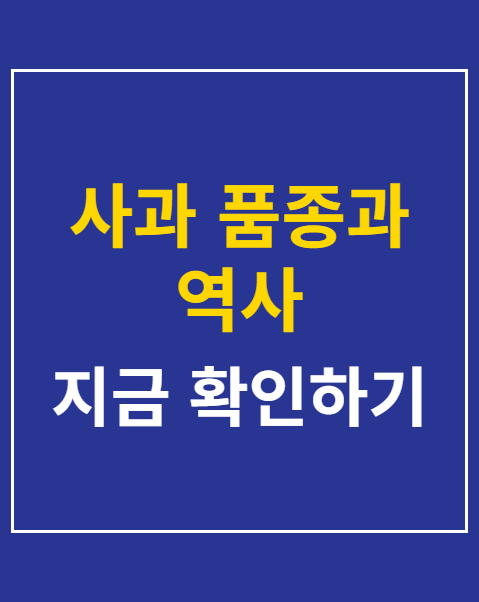 사과