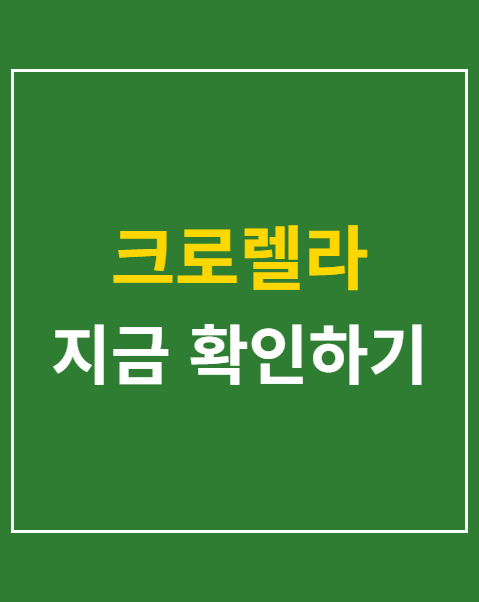 스피룰리나와 클로렐라