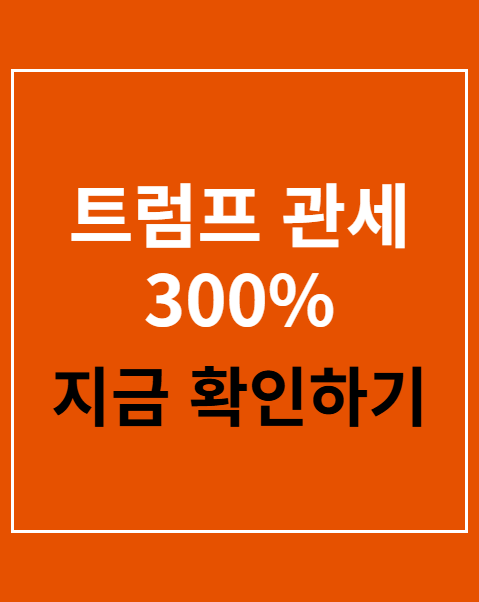 트럼프 관세 300%