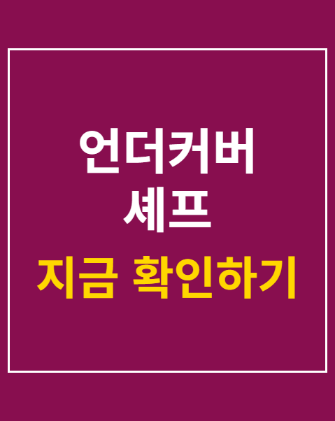 언더커버 셰프