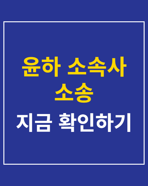 윤하 소속사 소송